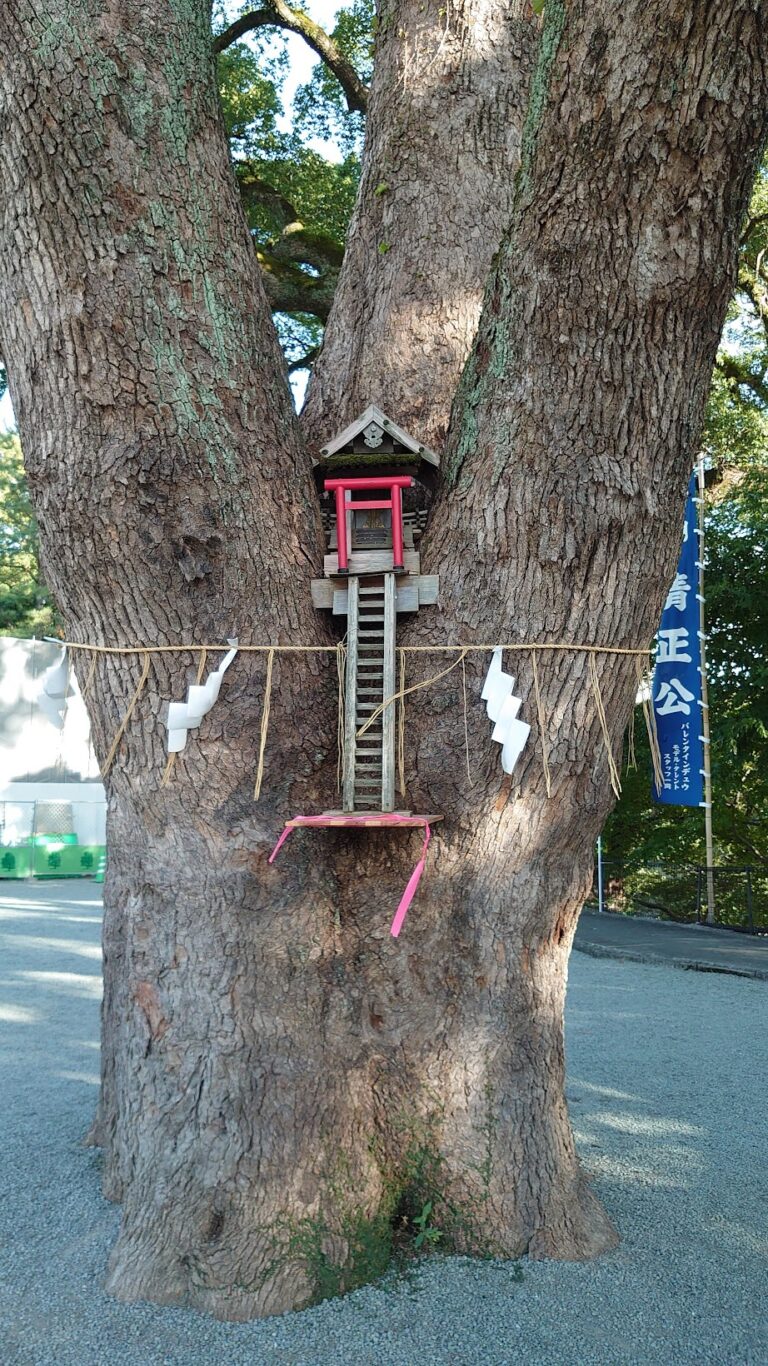 103. 加藤神社(かとうじんじゃ) 〜熊本県熊本市〜 神社izm 北海道からRYOが発信中